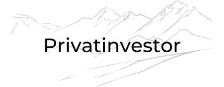 Logo Privatinvestor v2